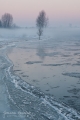 061_Biebrza - marzec 2013